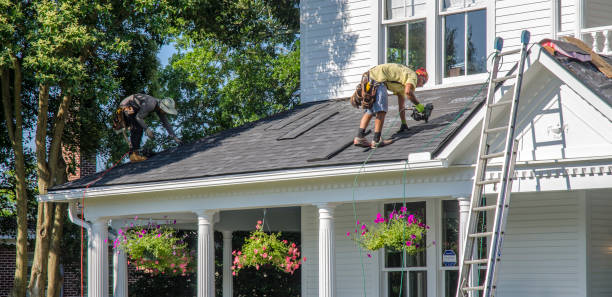 Roof Gutter Cleaning in Royal Palm Beach, FL